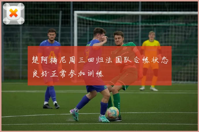 楚阿梅尼周三回归法国队合练状态良好正常参加训练